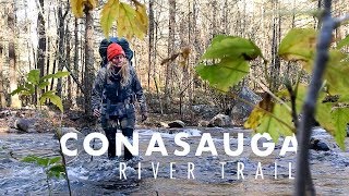 Hiking the Conasauga River Trail  Cohutta Wilderness [upl. by Stanly]