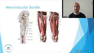 Osteopathic Considerations Hip External Rotation [upl. by Rip]