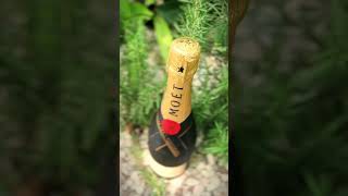 Moet amp Chandon Imperial Brut Champagne [upl. by Mychal]