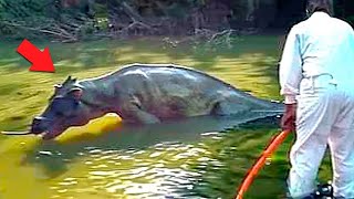 Fisherman Captured Lake Monster What Happened Next Is Terrifying [upl. by Basham]