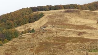 Bieszczady 2014 pierwsza wycieczka kamperem z rekinem [upl. by Singband111]