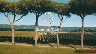 Guado al Tasso Bolgheri [upl. by Uke]