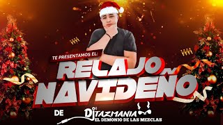 RELAJO NAVIDEÑO 🎄  DJ TAZMANIA EL DEMONIO DE LAS MEZCLAS LoMejor DeLaCumbiasNavideñas [upl. by Ajidahk753]