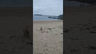 Dinard Bleach France frenchcity beach beachlife [upl. by Ycaj]