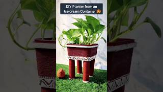 From Dessert to Decor 😍Transform your Amul ice cream tub into a charming DIY planter shorts viral [upl. by Pul]