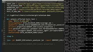 Optimize Your Selenium Tests to get Quicker Feedback from your CICD Pipeline  Parasoft Selenic [upl. by Kciderf50]