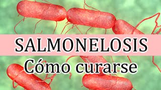 Salmonelosis causas y tratamiento para evitar sus daños y contagio [upl. by Abbi]