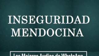 Inseguridad Mendocina  Los Mejores Audios de WhatsApp [upl. by Marven]