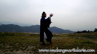 Wudang Tai Chi 108 by Master Chen Shiyu [upl. by Niahs]