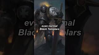 THE BLACK TEMPLARS VAUNTED PALADINS Sword Brethren  Warhammer 40k Space Marine lore [upl. by Zuliram850]