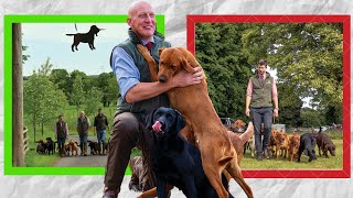 Shooting With 16 Dogs At Once amp Other Funny Fieldsports Stories  Mordor Gundogs [upl. by Assyli]