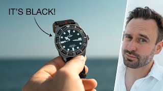 Truth behind the quotNEWquot Tudor Pelagos FXD in Black [upl. by Swithin502]