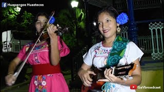 Así bailan y tocan huapango los jóvenes veracruzanos Temple Huasteco y Flor de Madera [upl. by Keiko]