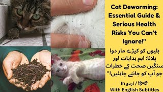 Deworming In Cats  Deworming In Kittens  When Should I Deworm My Cat   Does My Cat Have Worms [upl. by Hsima]