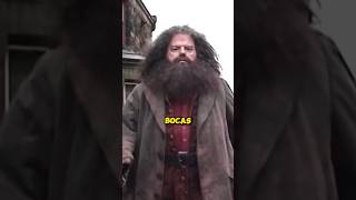 COMO FIZERAM PRA DEIXAR HAGRID UM MEIO GIGANTE FICAR TÃO REAL NOS FILMES DE HARRY POTTER [upl. by Alakcim]