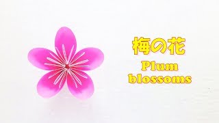 折り紙 春 梅の花の折り方 簡単！  Origami Spring plum blossom Easy [upl. by Nosirrag]