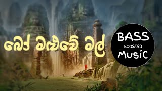 Bo Maluwe Mal  බෝ මළුවේ මල්  BaSS BooSted [upl. by Nrubua]