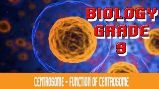 The Cell  Centrosome  Functions  Is Centrosome amp Centriole The Same Thing  Part 21 [upl. by Ellenad]