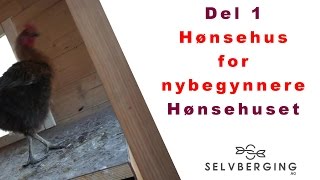 Hønsehus for nybegynnere [upl. by Nakre]