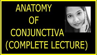 Anatomy of Conjunctiva Complete lecture  Structure Fuction Histology Ophthalmology [upl. by Golda]