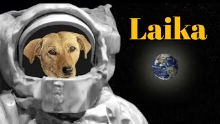 क्या हुआ था Laika के साथ  The Sad Story of Laika First Dog in Space [upl. by Nifled]