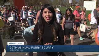 29th Furry Scurry Live Update at 906 AM [upl. by Mccomb]