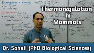 Thermoregulation in MammalsMan  12th Biology  NMDCAT Biology  Dr Sohail [upl. by Stirling]