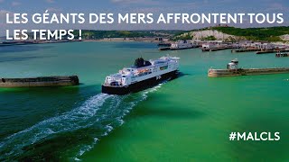 Les géants des mers affrontent tous les temps [upl. by Cirnek810]