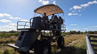 Quick Midday Buggy Run On The Lease [upl. by Emlynn]