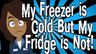 My Freezer is Cold But My Fridge is Not [upl. by Nulubez]