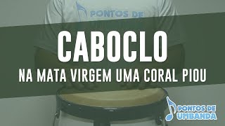 CABOCLO  NA MATA VIRGEM UMA CORAL PIOU [upl. by Ziana268]