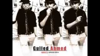 GULLED AHMED  AROOS  2014 [upl. by Neeneg215]