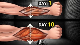 8 Exercises to Get THICK Forearms At Home [upl. by Aineles]