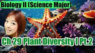 Ch 29 Plant Diversity I Part 2 [upl. by Ttocs819]