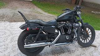 Harley Davidson Sportster Iron 883 2009 black [upl. by Cleti]