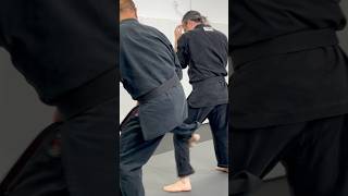 Variables KenpoKarate SelfDefense MotionAdjust MartialArts ShieldAndSword [upl. by Orat]