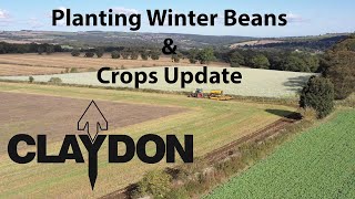 Claydon Hybrid Drilling Beans and Crop Update [upl. by Anhsirk]