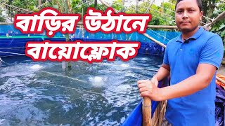 বাড়ির উঠানে বায়োফ্লোক পদ্ধতিতে মাছ চাষ। biofloc fish farming in bangladesh biofloc detail [upl. by Aniraad901]