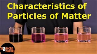 Matter in Our Surroundings  Characteristics of Particles of Matter [upl. by Kaia231]