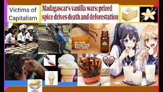 PURE EVIL The Vanilla Farming  Extract Industry Files DEEPDIVE CapitalismTrue Crime ETC [upl. by Nnaasil]