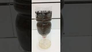 Water filter at home shorts waterfilters diytrendingfyp [upl. by Revilo]