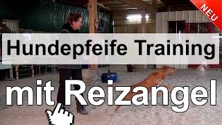 Hundetraining  Hundepfeife Training mit Reizangel [upl. by Aynek76]