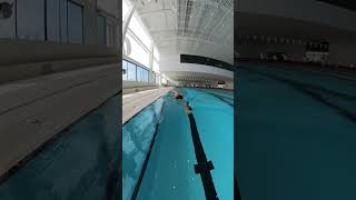 Easy and smooth freestyle swimming more info in comments swimming [upl. by Neerroc]