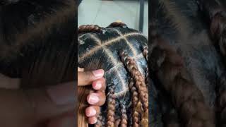 Knotless box Brad tutorial for beginners song trend shortsviral braids hairstyle 1million [upl. by Eusoj]