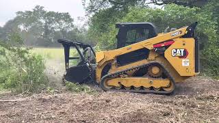 INCREDIBLE BRUSH MULCHING MACHINE Caterpillar 299D3 mulching brush and clearing land [upl. by Sidonnie]