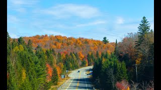 The Algonquin Park Scenic Drive via Hwy 60 Time Laps [upl. by Ahsenahs]