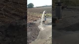 Borewell motor Installation 75hp shorts shortsvideo trending youtubeshort [upl. by Patman]