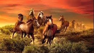 Wild Horses by The Flying Burrito Brothers [upl. by Tatianna]