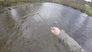 Czech nymphing for grayling on the Welsh Dee at Llangollen [upl. by Marquardt]