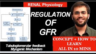 Regulation of GFR  Tubuloglomerular Feedback  Myogenic Mechanism  Renal Physiology [upl. by Lesslie502]